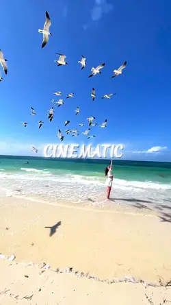 TRAVEL CINEMATIC