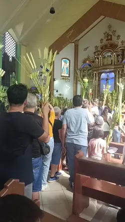 Linggo ng Palaspas