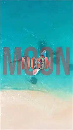 Take me to the Moon