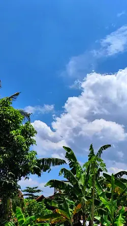 sholawat terbaru
