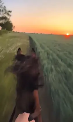 Freedom