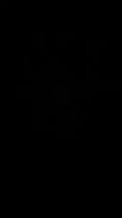 Capcut 
