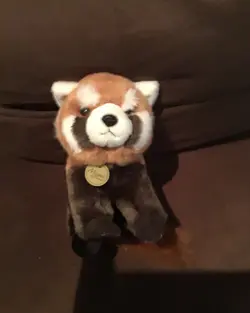 Red panda 
