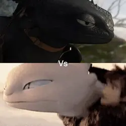The fight 