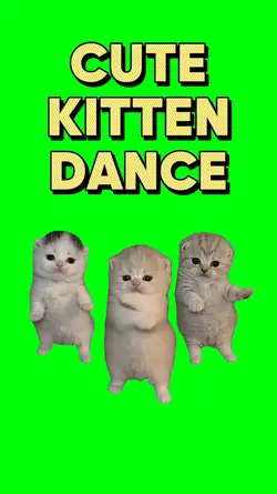 CUTE KITTEN DANCE 