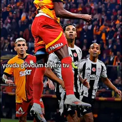 yaprak