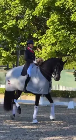 Horse slowmo💕