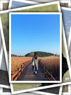 9Pic Trend Aesthetic