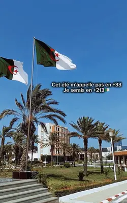 + 33 , TREND PAYS 🇩🇿🇲🇦