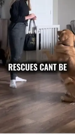 Trained rescue