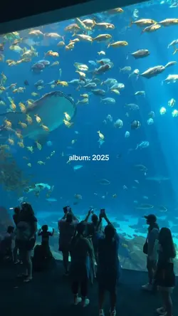 album: 2025