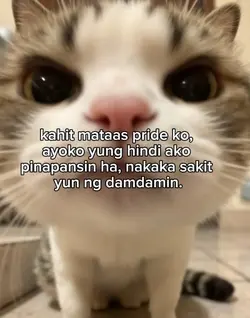 caption 