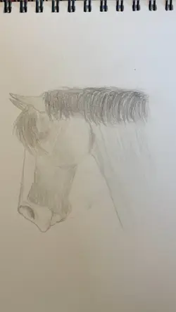 Drawing transition 