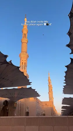 Mecca Medina 🤍🕊️