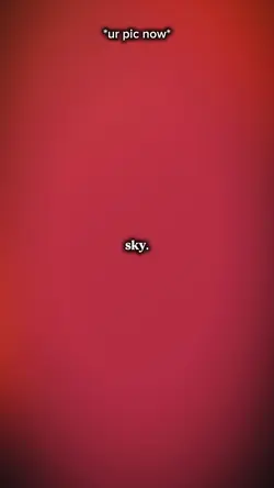 To the sky