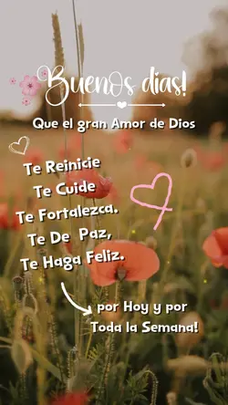 Buenos dias
