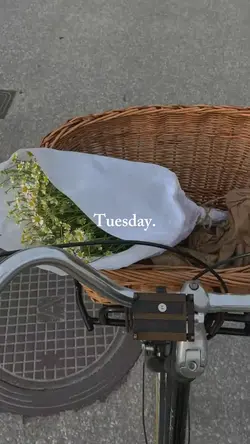 Tuesday