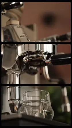 MARKETING TEMPLATE