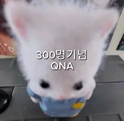 300명 기념 QNA