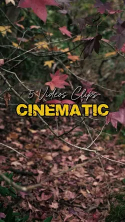 Cinematic 5 Videos
