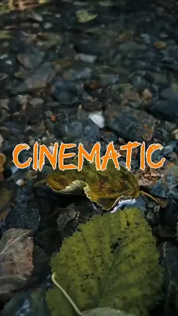 cinematic 4 video