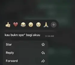 THE END
