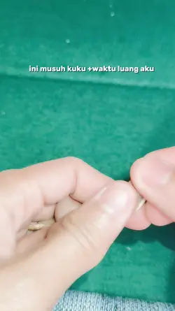 kuaci