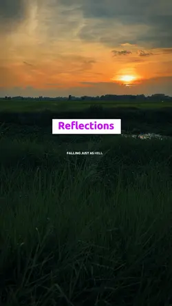 Reflections