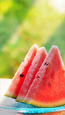 summer vacation