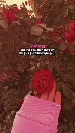 Sabırla beklenen..