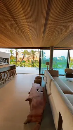 Espaço de Cinema