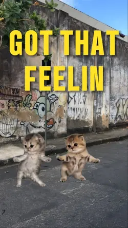 Got That Feelin
