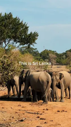 This is Sri Lanka