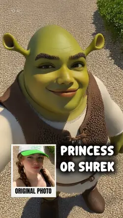 PRINCESS OR SHREK