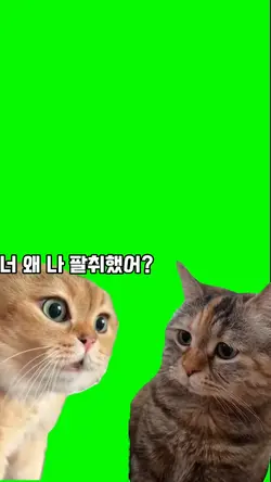 크로마키 공유 글씨 삭제해서 쓰세용!