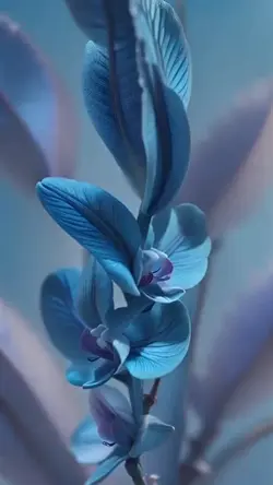 Natura