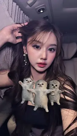 DANCE CAT TREND
