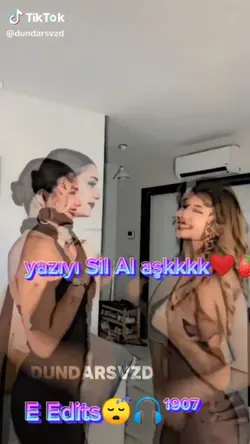 SılFer