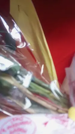 Surprise Gift