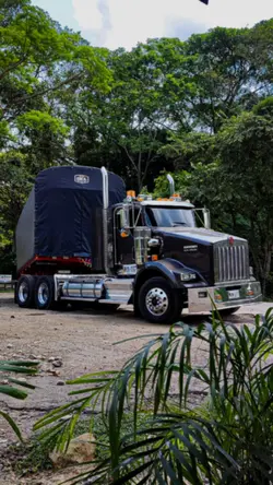 Reggaeton Truck