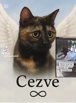 Paylaş destek ol!!!