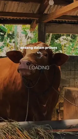dalam proses