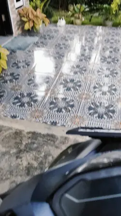 sound viral tiktok