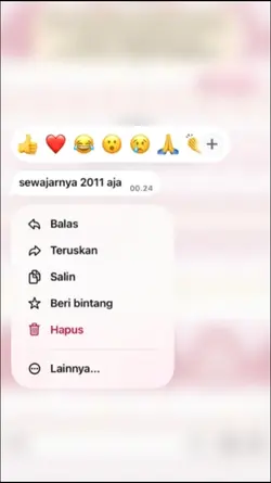 sewajarnya 2011 aja