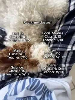 rating my classe
