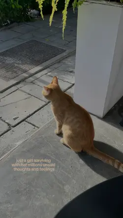 ‎ 