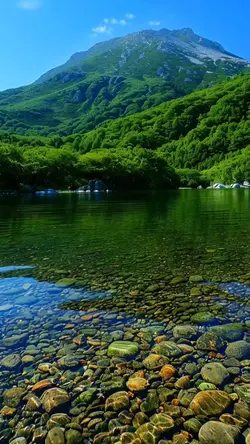 Travel 