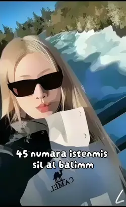 45 numara
