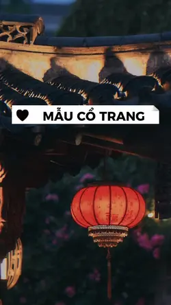 Mẫu cổ trang