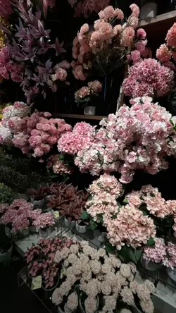 Aesthetic